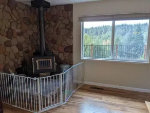 A rejuvenating cabin in the woods - Image 3
