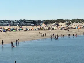 Fritliggende sommerhus med lukket have, WiFi, gangsti til Nordsøen - Image 4