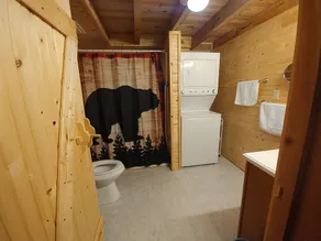 Cardinal Cabin with Hot tub, WIFI, Dish, park pass - Image 4