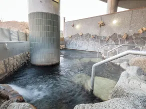 Akagi Onsen Hana Hotel & Spa Shibukawa - Image 3