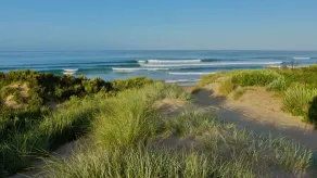 Manna Gum Beach House - Image 4