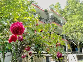 Hostel for backpackers around the world - Image 3