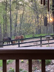 Plan your adventure   extras available dinner with horses or charcuterie/wine. - Image 3