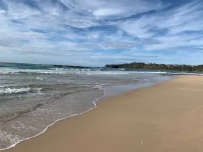South Pacific Narrawallee - Image 4