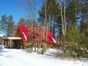 Rote Dachkabine - Rustikale Blockhütte im Wald! - Image 3