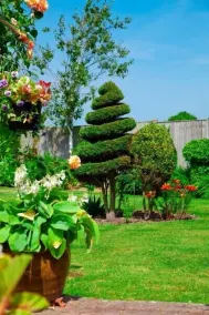 OYO Elmcroft Guest House - Image 4