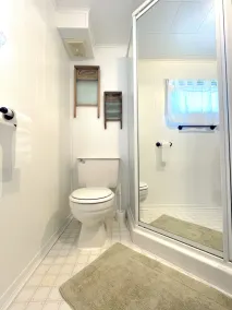 A secluded beachfront retreat for families - pet friendly! - Image 4