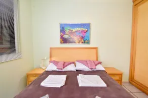 DEPARTAMENTO/INGLESESNORTE/WIFI/2HABITA/COCHERADOBLE/AIRECOND/BALCONPARILA/2BANÕ - Image 5