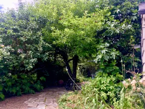 Star Studio: A Private Garden Retreat in Downtown Eugene - Image 3