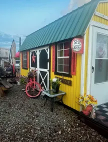 Glamping in the She Shed - Image 4