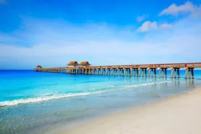 Enjoy a new construction home with heated salt pool close to everything Naples - Image 5