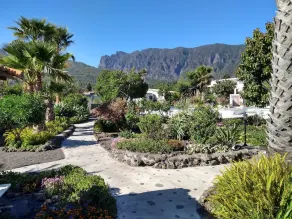pretty apartment with sun terrace in the subtropical garden with WiFi and pool - Image 5