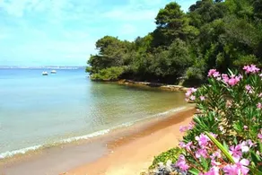 Amazing 2 Bedroom Apartment - MAGICAL ISLAND EXPERIENCE - CROATIA! - Image 5