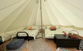 Butternut Hollow tent site - Image 3