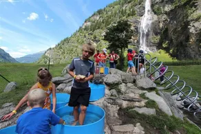 Appartamento per le vacanze per 5 in Carinzia - Image 3