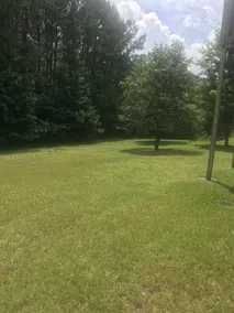 Whispering Pines Retreat with Fast WIFI/Smart TV and Coffee Maker - Image 3