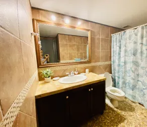 Oceanview Villa - Steps Away from the Beach / Palmas del Mar Resort. - Image 4