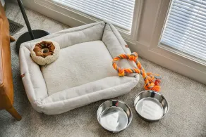 Come stay at the Elm Grove Elegance Irene! - Image 2