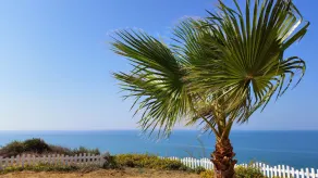 Villa Sonia on the sea - Image 5