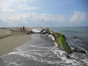 Calci - dal monte al mare - Image 2