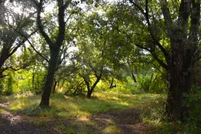 NUEVO - Antiguo molino de agua situado en Drôme Provençale - Image 5