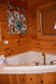 MTN CABIN LAKEFRONT,CANOE/3 KAYAKS,POOL TABLE,DOCK,FIRE PIT, FIREPLACE,JACUZZI - Image 4
