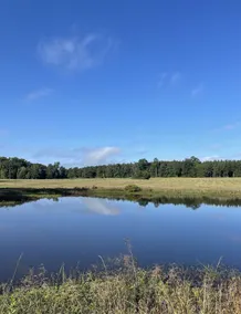 40 Acres 4 Bedroom  4 full bathroom Home with a Pond stocked with Fish & RV Port - Image 3