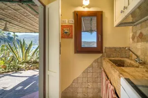 Agave direclty on the beach - Goelba - Image 2