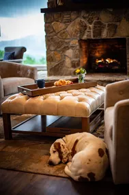 Luxury Lodge with Ride-In-Ride-Out Location - WiFi - Sweeping Mountain Views - Image 3