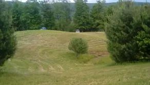 Black Creek's Maple Nature Escape - Image 3