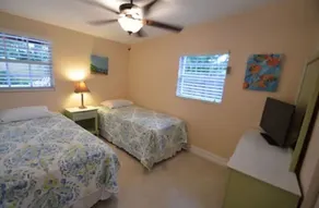 Palm Breeze - Image 5
