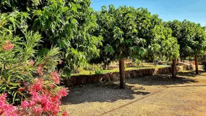 SANTA-GIULIA & CHARME VILLA & PRIVATER POOL - Image 5