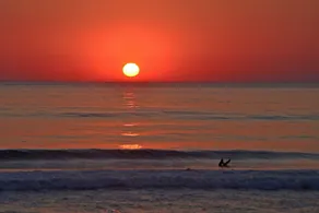 Independent house 3 bedrooms for 7 people a short walk away from beaches in Lacanau ocean - Image 3