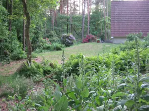 Vakantiehuis op top locatie #Ommen - Image 5