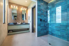 4 Ocean View Suites-Privacy-Manuel Antonio-Wildlife - Image 3
