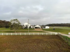 Guesthouse with Pool & Pond on a Farm - Image 3