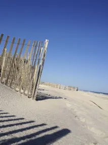 Ocean Bay Park Sanctuary - Image 4