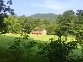 Adorable Cabin at Trout-Stocked Paddy Run Surrounded by GWNF and Hiking Trails - Image 4
