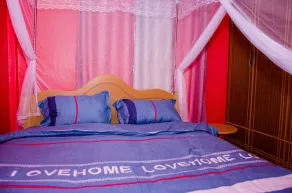 Comfy Homes Pink House - Image 4