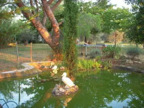 Ferienwohnung auf parkähnlichem Privatanwesen mit Pool bei Arles in der Provence - Image 5