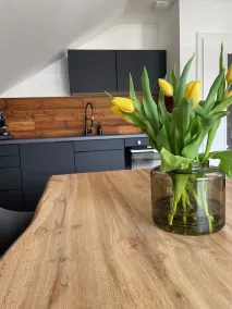 Gemütliche Ferienwohnung im Stryck am Skykwalk Willingen Haustierfreundlich! - Image 3
