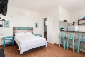 ❤203 | Super Rustic Studio - Image 3