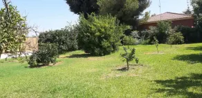MAISON DE CAMPAGNE À SÉVILLE AVEC PISCINE - Image 5