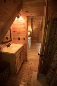 Gorgeous, tree top views from this cabin - Image 4