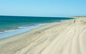 \"I have traveled the world and this is the best beach I have ever seen\" - Image 5