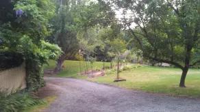 ROSA EM CASAS DE CAMPO DE LEAFIELD - Image 3
