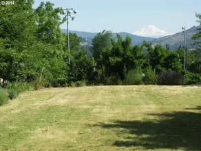 Chalet lumineux confortable avec Mt. Vue Adams - Image 4
