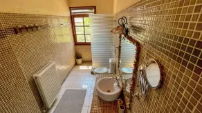 Skine Dream Villa - Image 2
