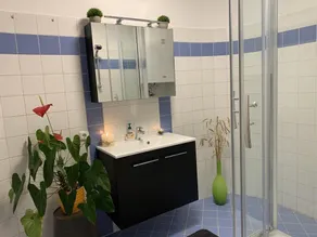Ferienwohnung Raabklamm - Image 2