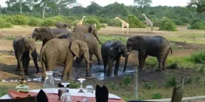 Elephant Valley Lodge - Image 4